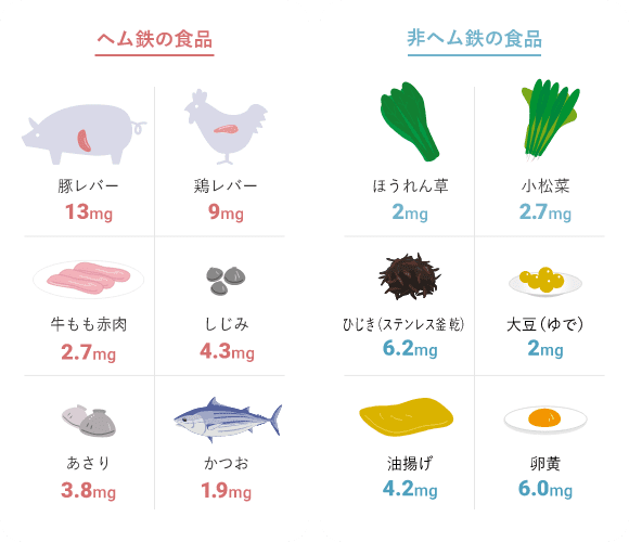 食材 鉄分